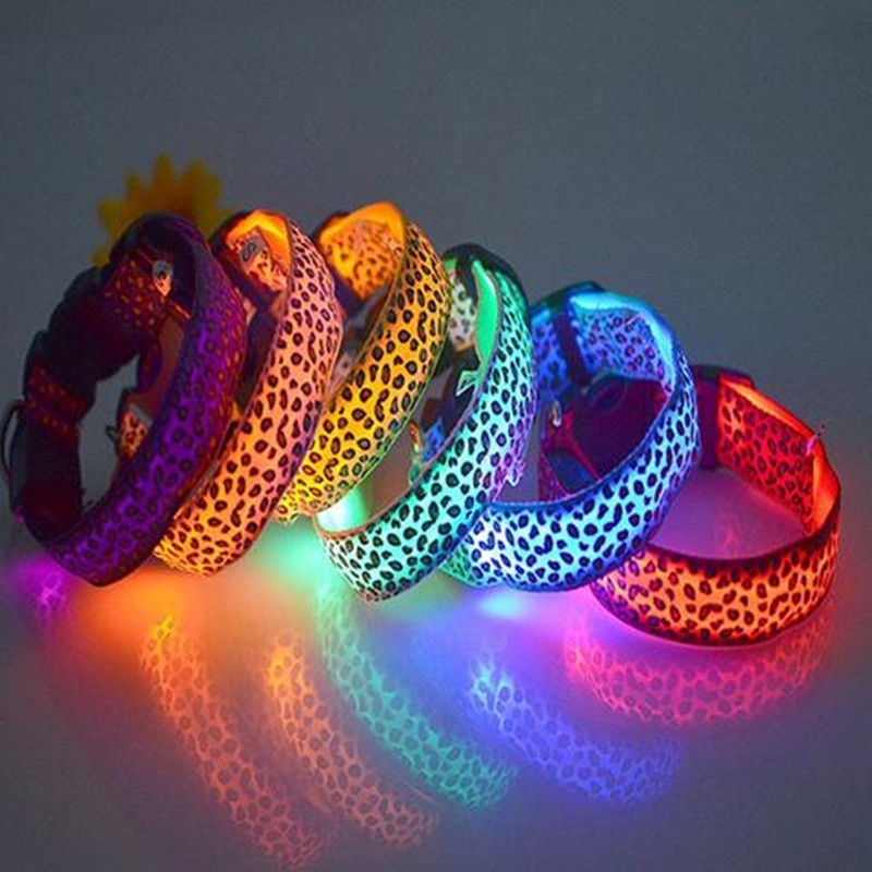 Light-Up Dog Collar for Visibility and Style