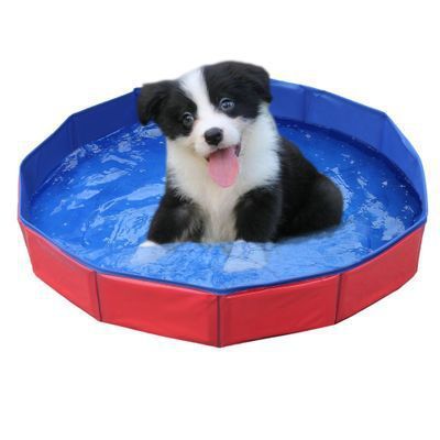 Portable Foldable Bath Tub for Happy Pets