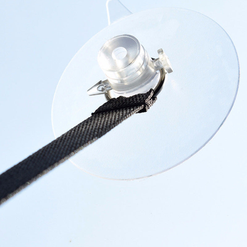 Comfy Window Perch Hammock for Curious Cats