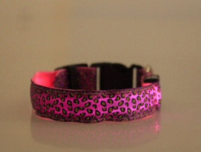 Light-Up Dog Collar for Visibility and Style