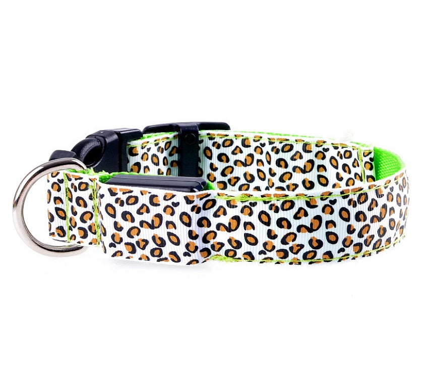 Light-Up Dog Collar for Visibility and Style