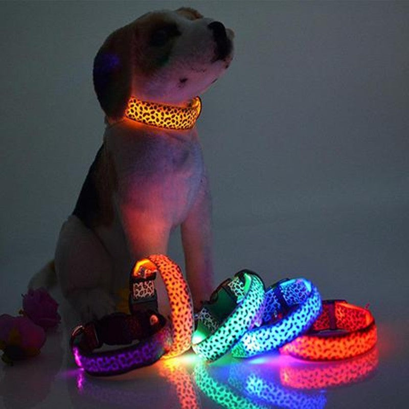 Light-Up Dog Collar for Visibility and Style