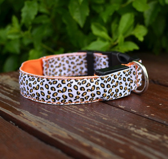 Light-Up Dog Collar for Visibility and Style