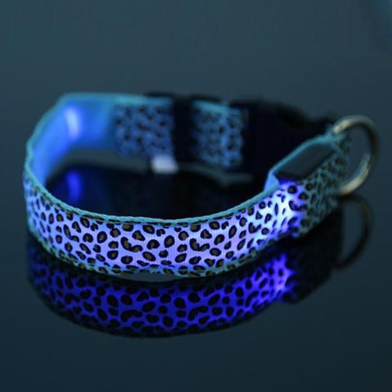 Light-Up Dog Collar for Visibility and Style