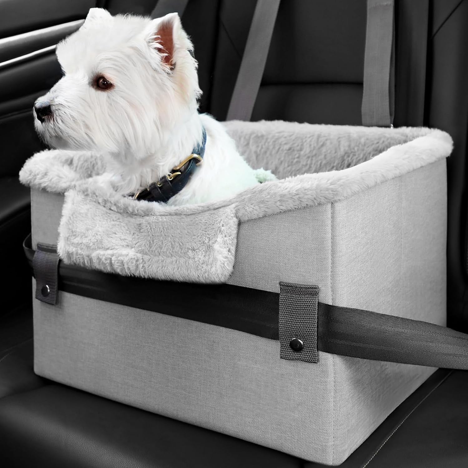 Cozy Car Booster Seat for Happy Little Travel Pups