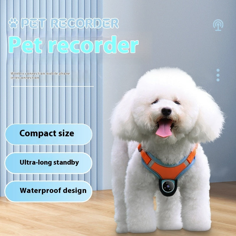 Smart Pet Collar Camera – See Life Through Their Eyes