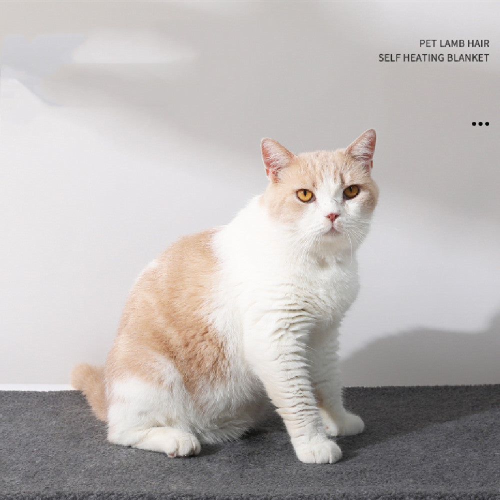 Self-Heating Pet Blanket – Cozy Warmth for Happy Naps