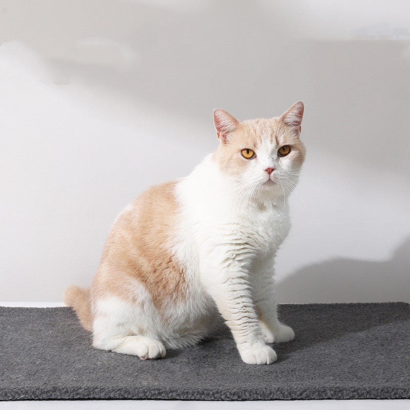 Self-Heating Pet Blanket – Cozy Warmth for Happy Naps