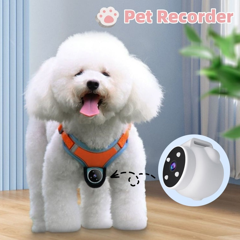 Smart Pet Collar Camera – See Life Through Their Eyes